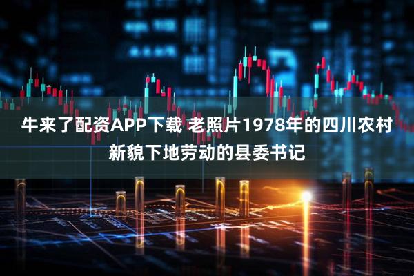 牛来了配资APP下载 老照片1978年的四川农村新貌下地劳动的县委书记
