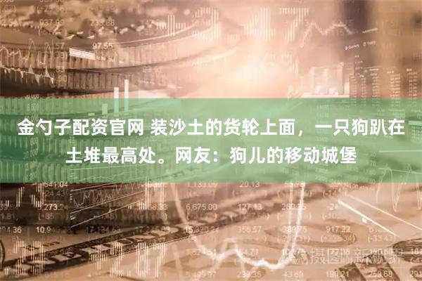 金勺子配资官网 装沙土的货轮上面，一只狗趴在土堆最高处。网友：狗儿的移动城堡