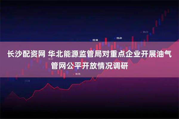 长沙配资网 华北能源监管局对重点企业开展油气管网公平开放情况调研